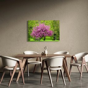 A réten virágzó fa képe (90x60 cm)