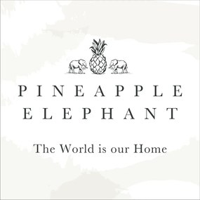 Fehér pamut fényáteresztő függöny 140x122 cm Zofia Broderie Anglaise – Pineapple Elephant