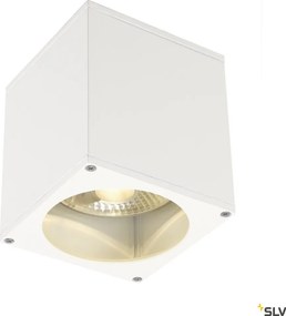 SLV 229551 THEO Modern Kültéri Mennyezeti Lámpa Fehér GU10/ES111 IP44