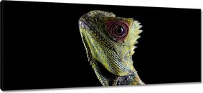 Vászonkép 100x40 Zöld gyík erdő