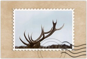 Poszterek 120x80 Szarvas felszarvazott