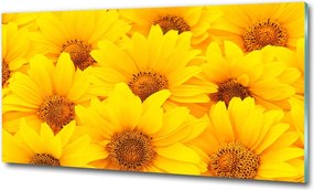 Fotó üvegkép Metélőhagyma virágok 100x70