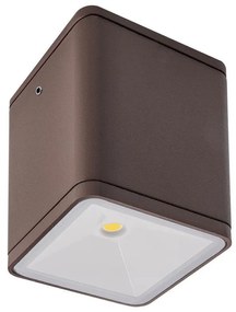 REDO-9457 BETA Barna színű Kültéri Mennyezeti Lámpa LED 6W IP54