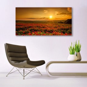 Akrilkép Szakterület Pipacsok Sunset Meadow 100x50 cm