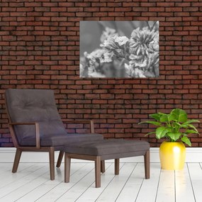 Kép - Szárított virágok (70x50 cm)