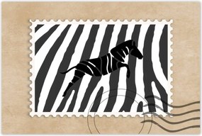 Poszterek 60x40 Zebra csíkos