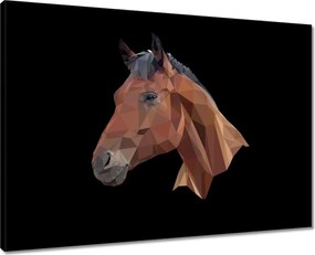 Vászonkép 70x50 Lófej