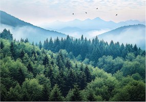 Fotótapéta erdő hegyek lucfenyő természet köd tájkép nappali hálószoba iroda