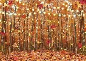 Inrui Őszi fotó háttér erdő motívummal, őszi táj, levelek