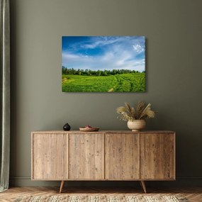 Rét képe (90x60 cm)