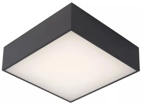Lucide 27816/10/29 - LED Fürdőszobai mennyezeti lámpa ROXANE LED/12W/230V IP54