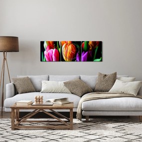 Tulipánok képe fekete alapon (órával) (90x30 cm)