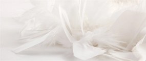 Kép - Toll (120x50 cm)
