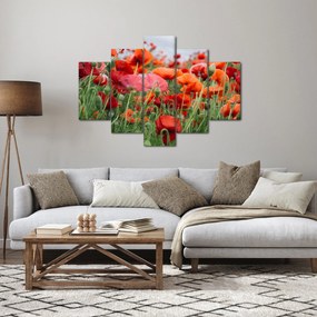 Egy kép a pipacs mezőről (150x105 cm)