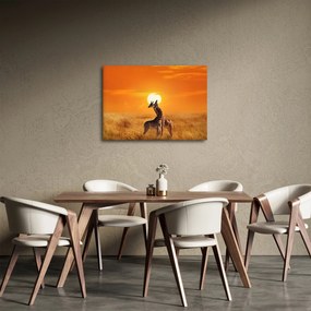 Kép - Zsiráfok a Serengeti Nemzeti Parkban (70x50 cm)