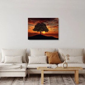 Fa képe naplementével (üvegen) (70x50 cm)