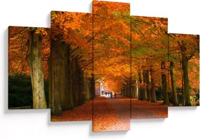 Kép - A Avenue of fák ősszel (150x105 cm)