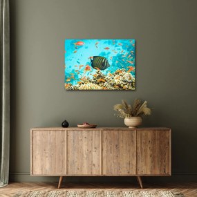 A víz alatti világ képe (70x50 cm)