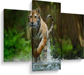 Futó tigris képe (90x60 cm)