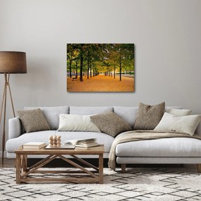 Egy kép az őszi fák sikátorából (70x50 cm)