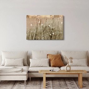 Kép - Harmonikus rét (90x60 cm)
