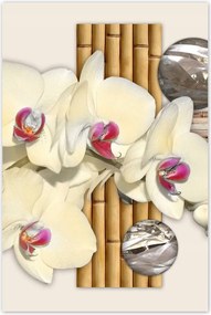 Poszterek 80x120 Virágmintás bambusz