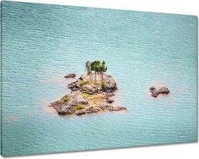 Vászonkép 100x70 Pálma-sziget Óceán