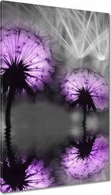 Vászonkép 80x120 Tükröződés a vízben Sárkányok