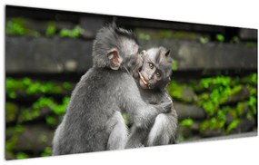 Kép - majmok (120x50 cm)
