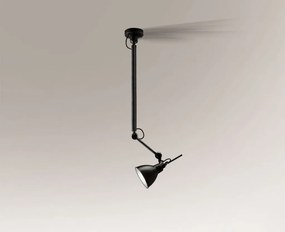 Antigo Daisen 5623 Plafonlámpa 1x60W/E27 IP20