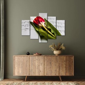 Egy vörös tulipán képe (150x105 cm)