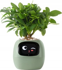 Intelligens virágtartó Ivy Smart Planter fedő virágtartóhoz Zöld