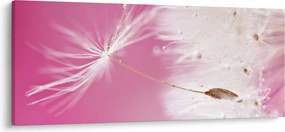 Kép - Makró virága (120x50 cm)