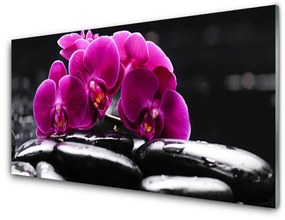 Üvegkép Zen kövek Orchid Spa 100x50 cm 2 fogas