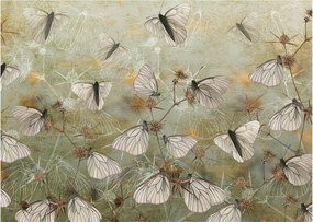 Kép - szüret lepkék (70x50 cm)