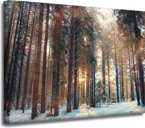 Vászonkép Erdő Tél Hó Fehér Természet 40x30 cm Ajándéknak is tökéletes