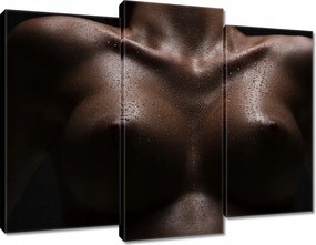 Vászonkép 90x70 Feszes mellek Akt