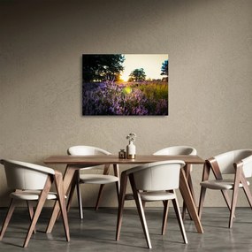 Egy levendulamező képe (üvegen) (70x50 cm)