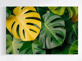 Poszter Természet Növények Monster Levelek 60x40