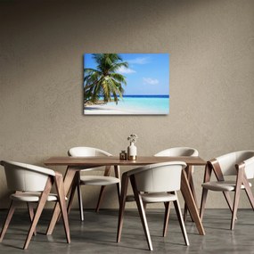 Pálmafák a strandon képe (70x50 cm)