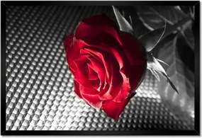 Poszter keretben 60x40 Rózsa nőknek