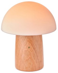 Natúr színű szabályozható asztali lámpa üveg búrával (magasság 32 cm) Alice – Gingko