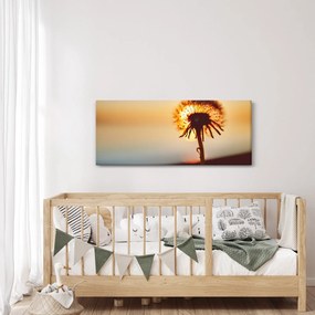 Egy pitypang képe naplementekor (120x50 cm)