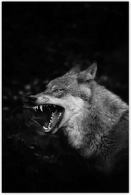 Poszterek 80x120 Természet Emberség