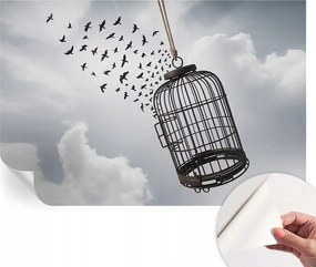 Öntapadós fotótapéta Nappaliba és Hálószobába Repülő madarak 104x70