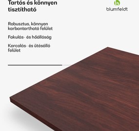 Blumfeldt Bearsdon asztallap 120 x 80 cm konyhához és étkezőhöz, Robusztus rétegelt lemez