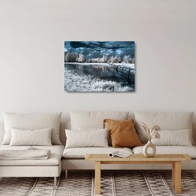 Üveg kép - Fagyott táj (70x50 cm)