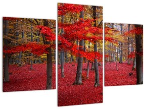 Kép - vörös erdő (90x60 cm)