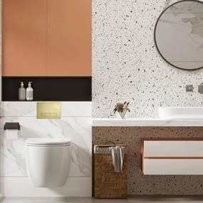WC öblítő gomb H Type  Gold