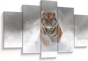 Futó tigris a hóban képe (150x105 cm)